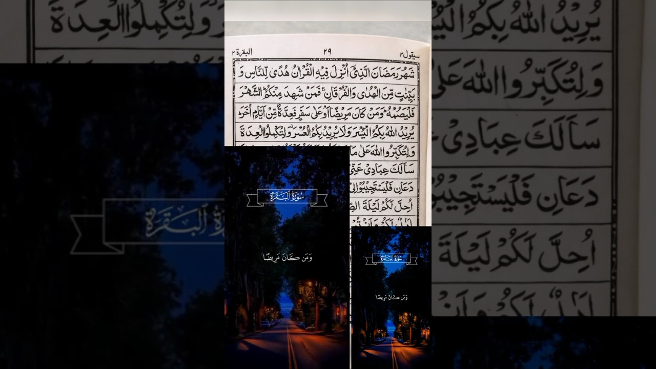 sharu Ramzan #islamicstatus #tilawatequran #shorts #viral #quran Arabic news subscribe please #viral