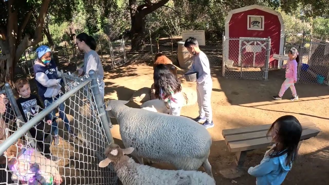 Griffith Park Pony Rides And Petting Zoo final days of operation after 74 years. A very sad day. 1-4