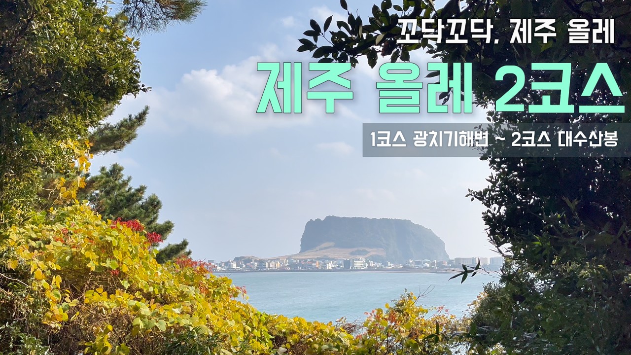 제주 올레 2코스 VLOG | 광치기 해변, 내수면 둑방길, 식산봉, 철새도래지, 대수산봉, 가는곶 세화 | 제주 동쪽 | 제주도 걷기 좋은 길 |  2025.12.17