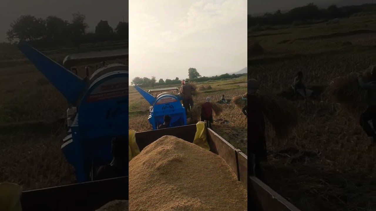 #TekVarli #TractorVibes #FarmingLife #AgriWithAbhi #DesiFarmer #IndianFarming #KhetiVibes #RuralPowe