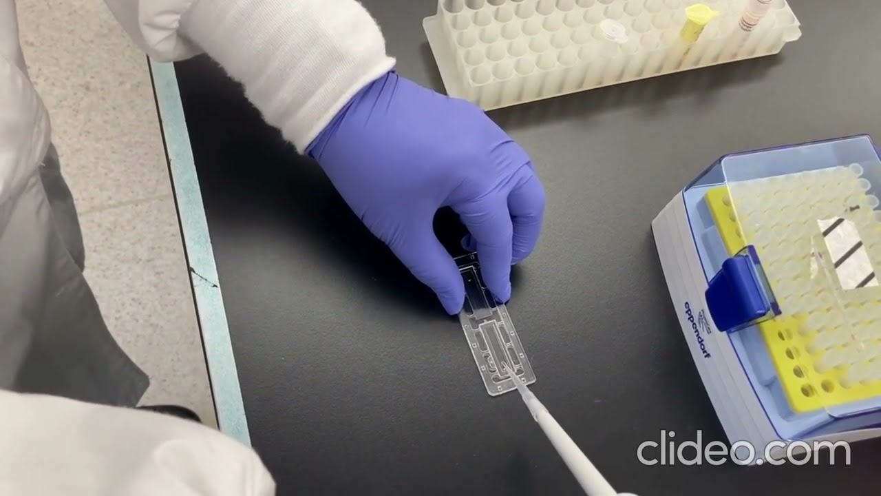 Mammalian Cell Counting Using Luna Fluorescence Cell Counter mp4