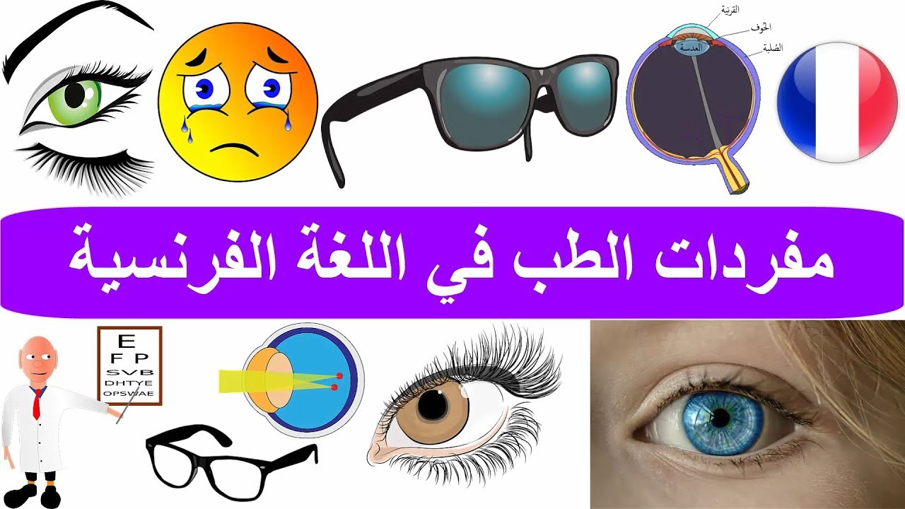 طبيب العيون بالفرنسية - مفردات الطب في اللغة الفرنسية -  تعلم اللغة الفرنسية