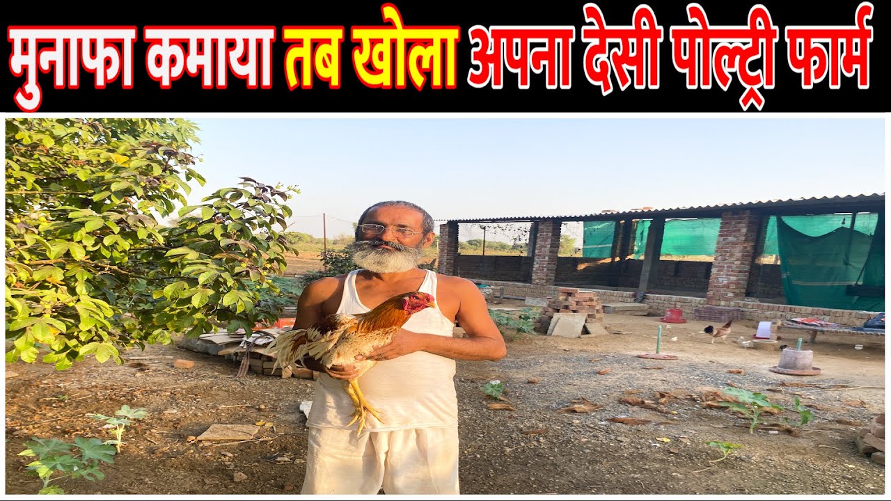 तीन साल से चला रहे Desi Poultry Farm || Desi Poultry Farming || Desi Murgi Palan