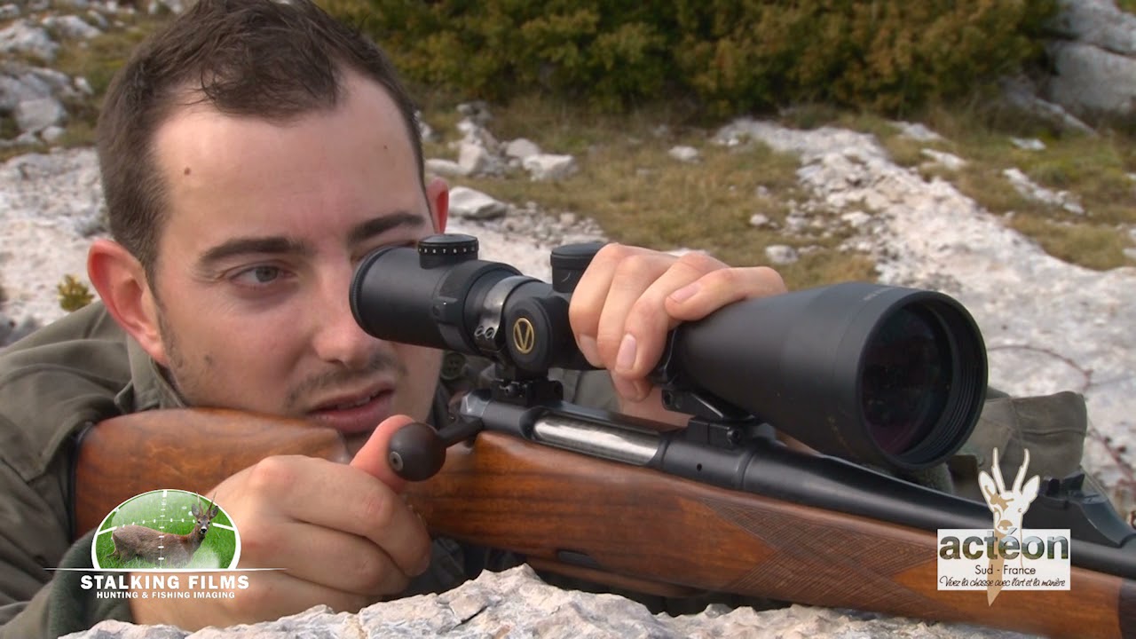 Tir de chamois 4 - chamois hunting 4 - Tiro de rebeco 4