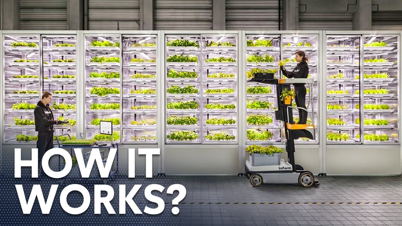 Indoor Farming Is The FUTURE.. But How Does It Work?