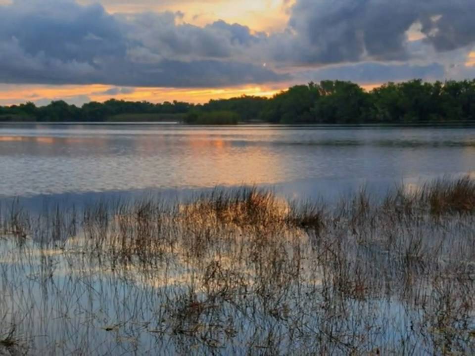 Enticing Everglades