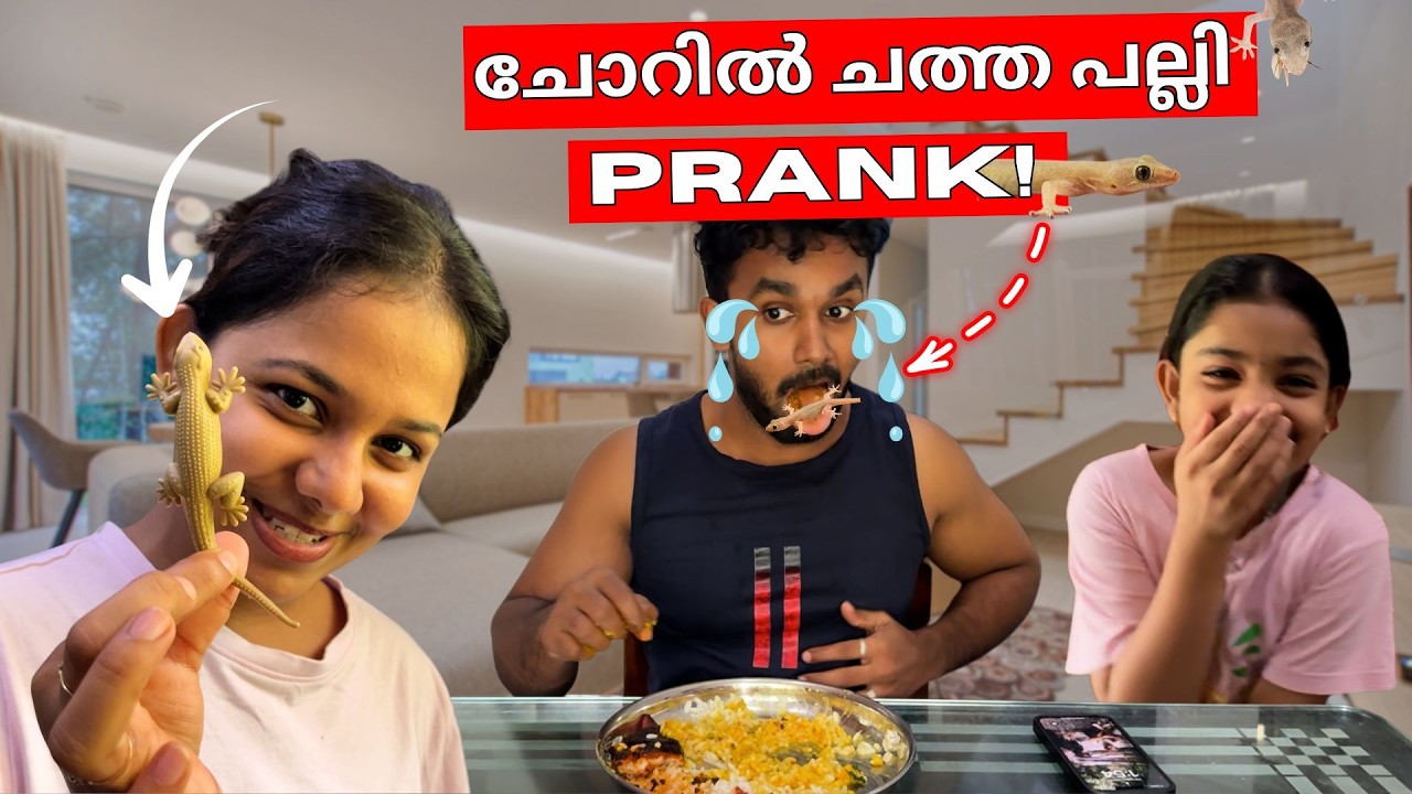 ചോറിൽ ചത്ത പല്ലി | അർജു മാമന് ഒരു പ്രാങ്ക് 😂