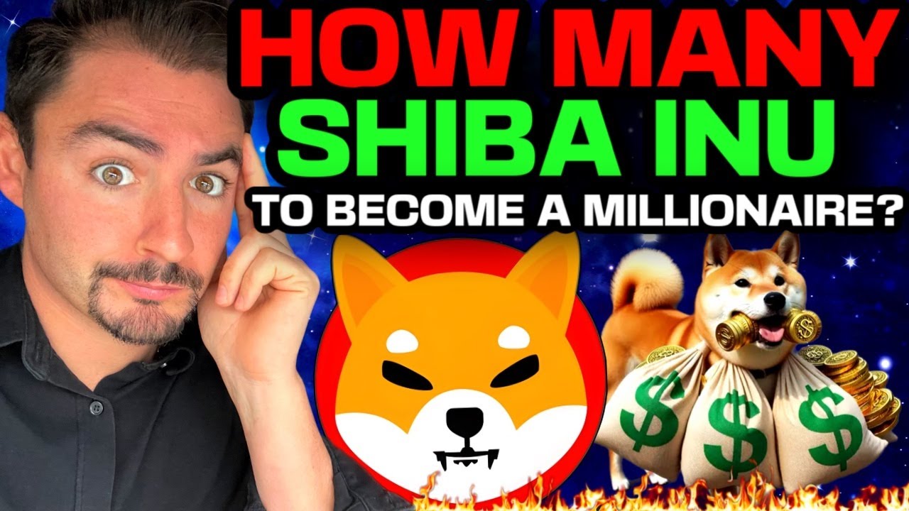 How Much Shiba To Become A Millionaire? (SHIB Price Prediction 2025) Shiba Inu Coin ALERT!