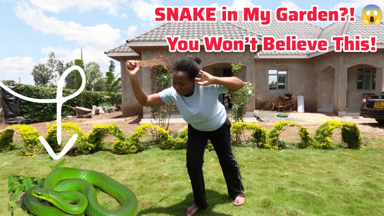 SHOCKING Snake Encounter in My Garden😱A Day in the Life of Countryside Housewife & Homestead Living