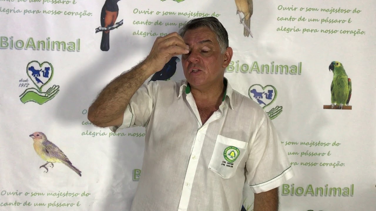 como curar roquidao de trinca