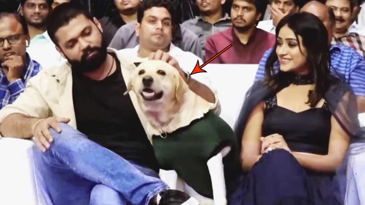 777 Charlie Press Conference | Rakshit Shetty | Rana | TT