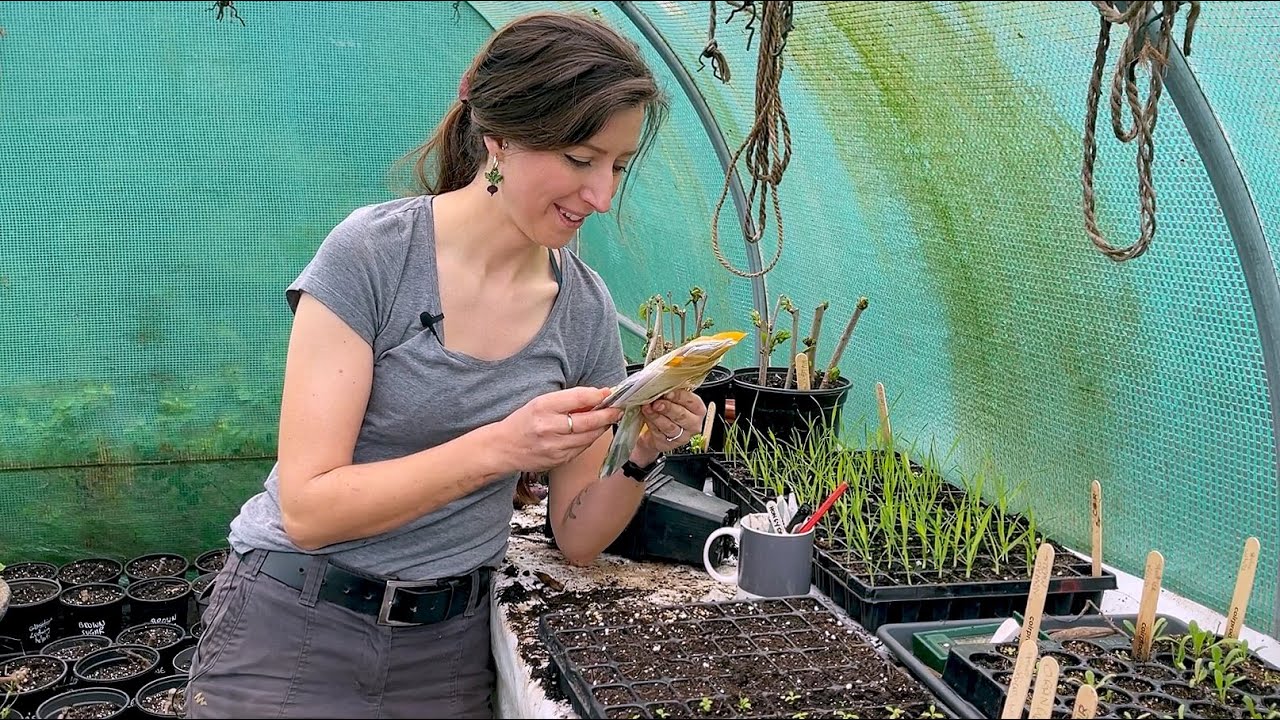 Sow Seeds with Me - Squash, Beetroot, Peas & Courgette