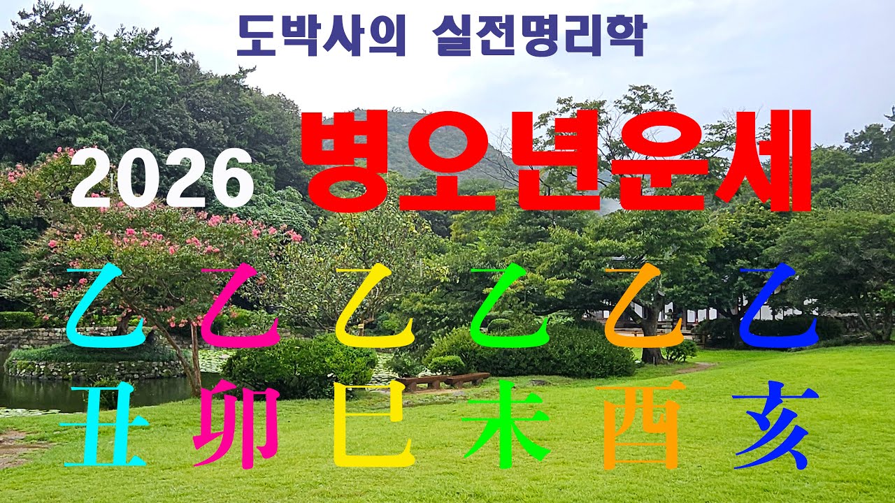 2026 병오년 을목일간별 운세