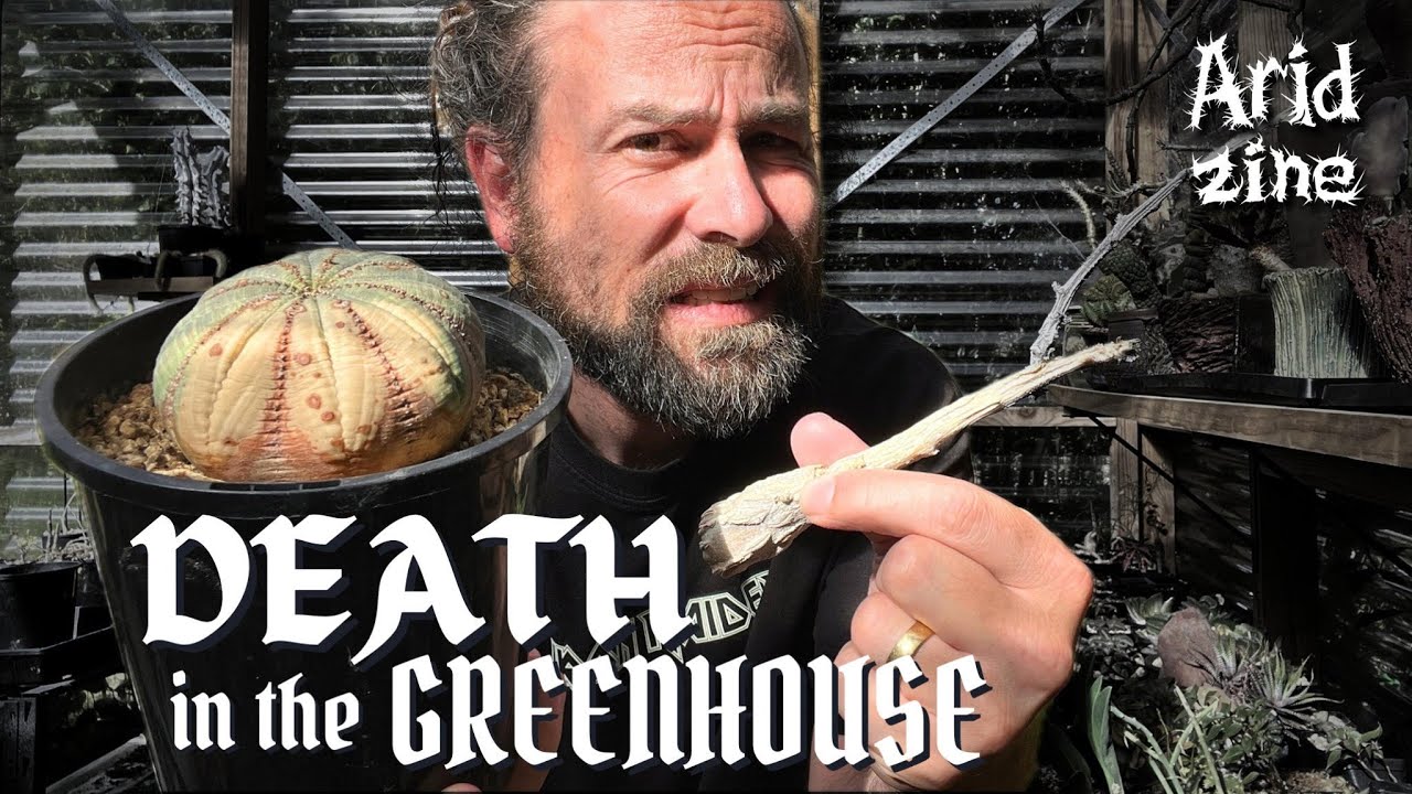 I killed a $500 plant, and other grim springtime tales from the greenhouse