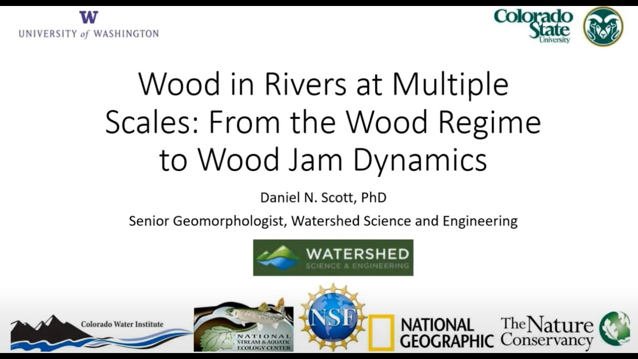 Wood in Rivers at Multiple Scales: From the Wood Regime to Wood Jam Dynamic | Daniel N. Scott, PhD