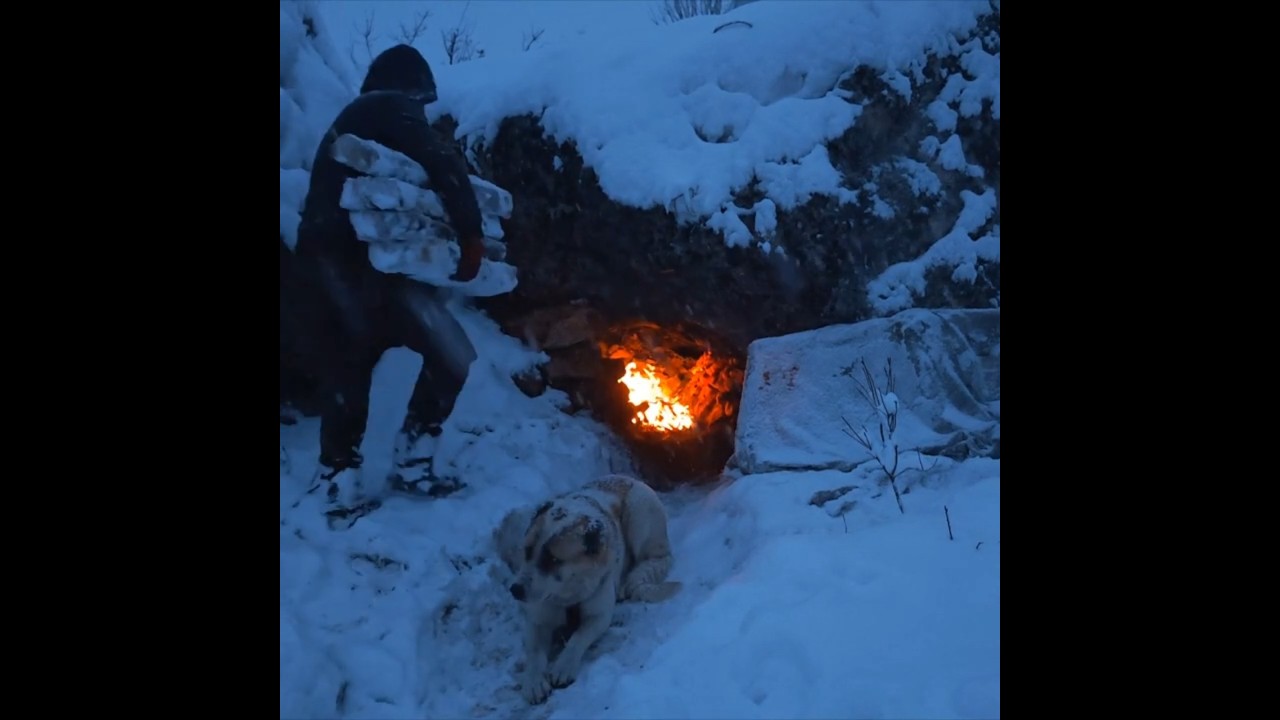 Snowstorm camping in extreme cold weather #survival #camping #snowcamp