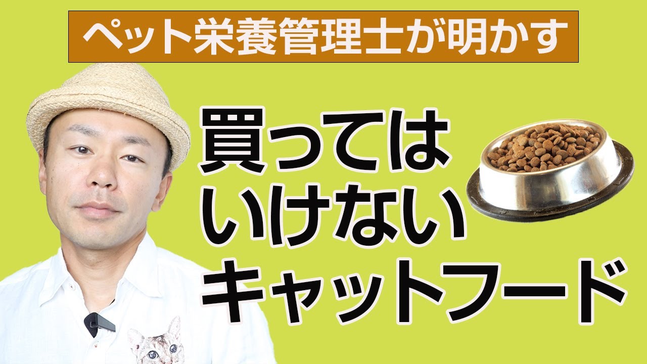 ペット栄養管理士が絶対買わないキャットフード