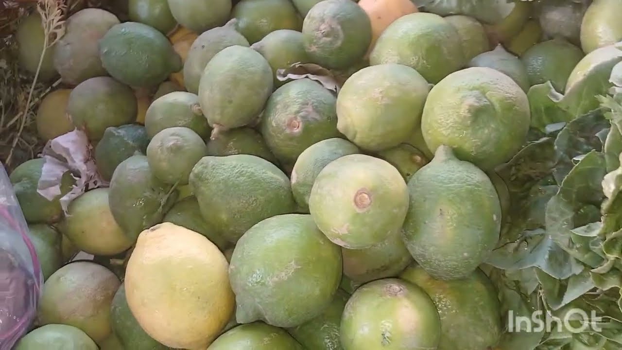 اجيو نتقداو نهار قبل موعد السوق.الخضر طرية والاثمنة جد مناسبة