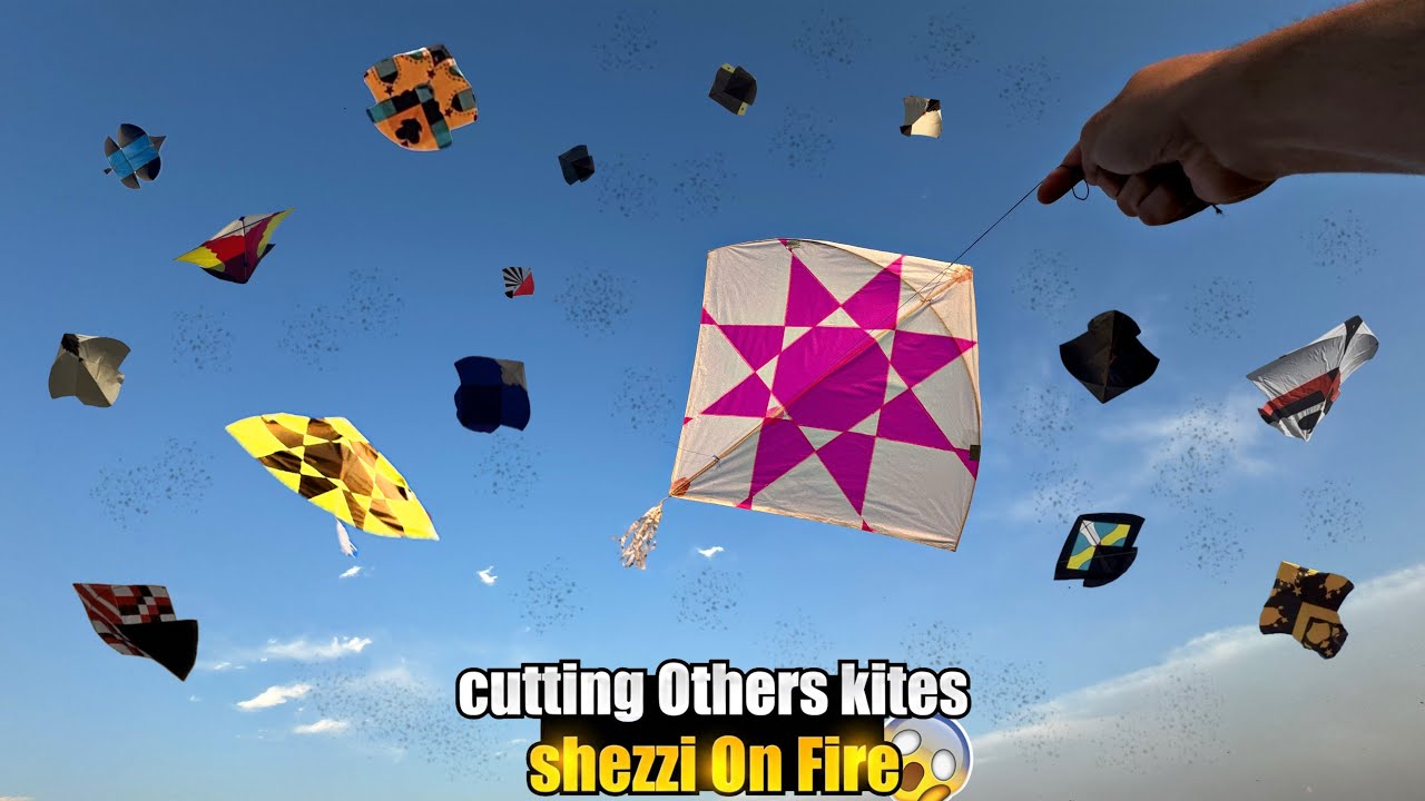Cutting And Catching Kite On Roftop || Beautiful Weather Mai Kite Flying 🤩|| Black Tiger Is Back!