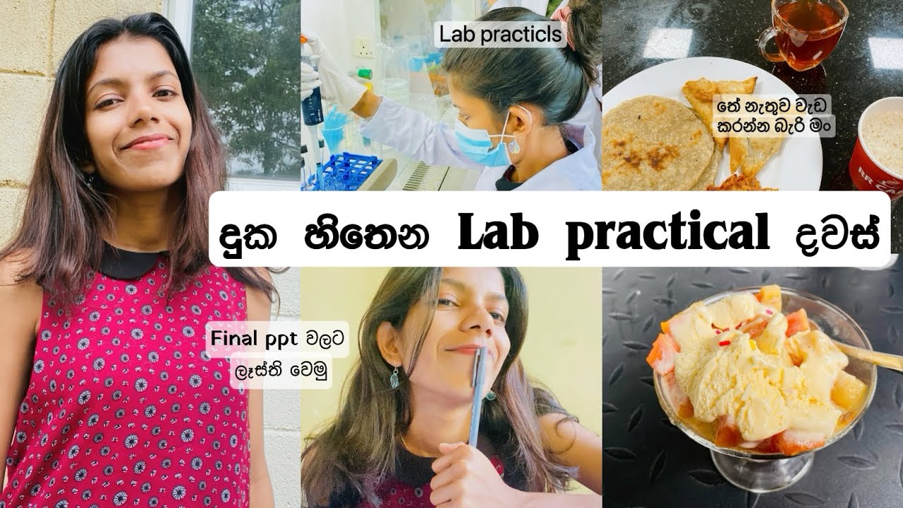 කැම්පස් එකේ practical දවසක්|final research වලට ready වෙමු😍 #univlog #uvawellassauniversity #student