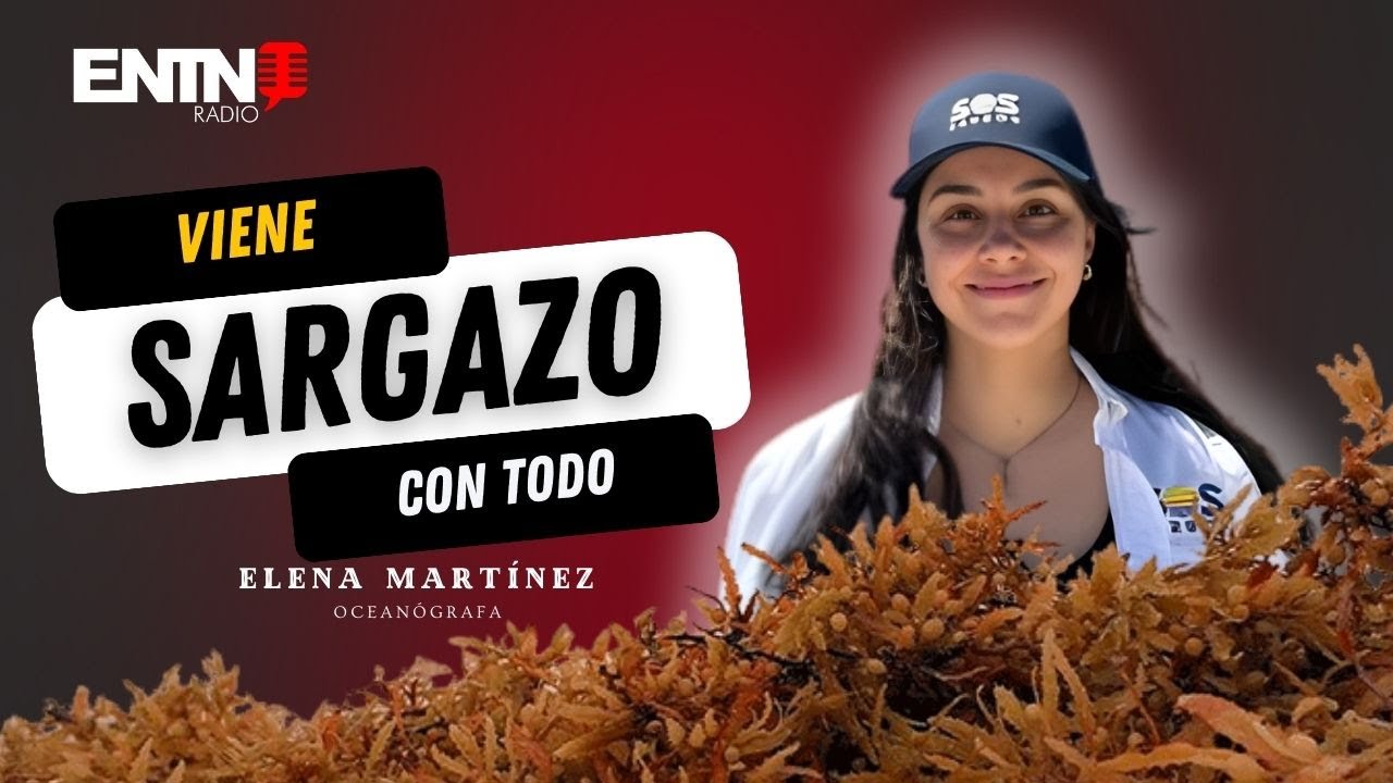 El terror del Sargazo crece Científicos revelan el peligro que viene