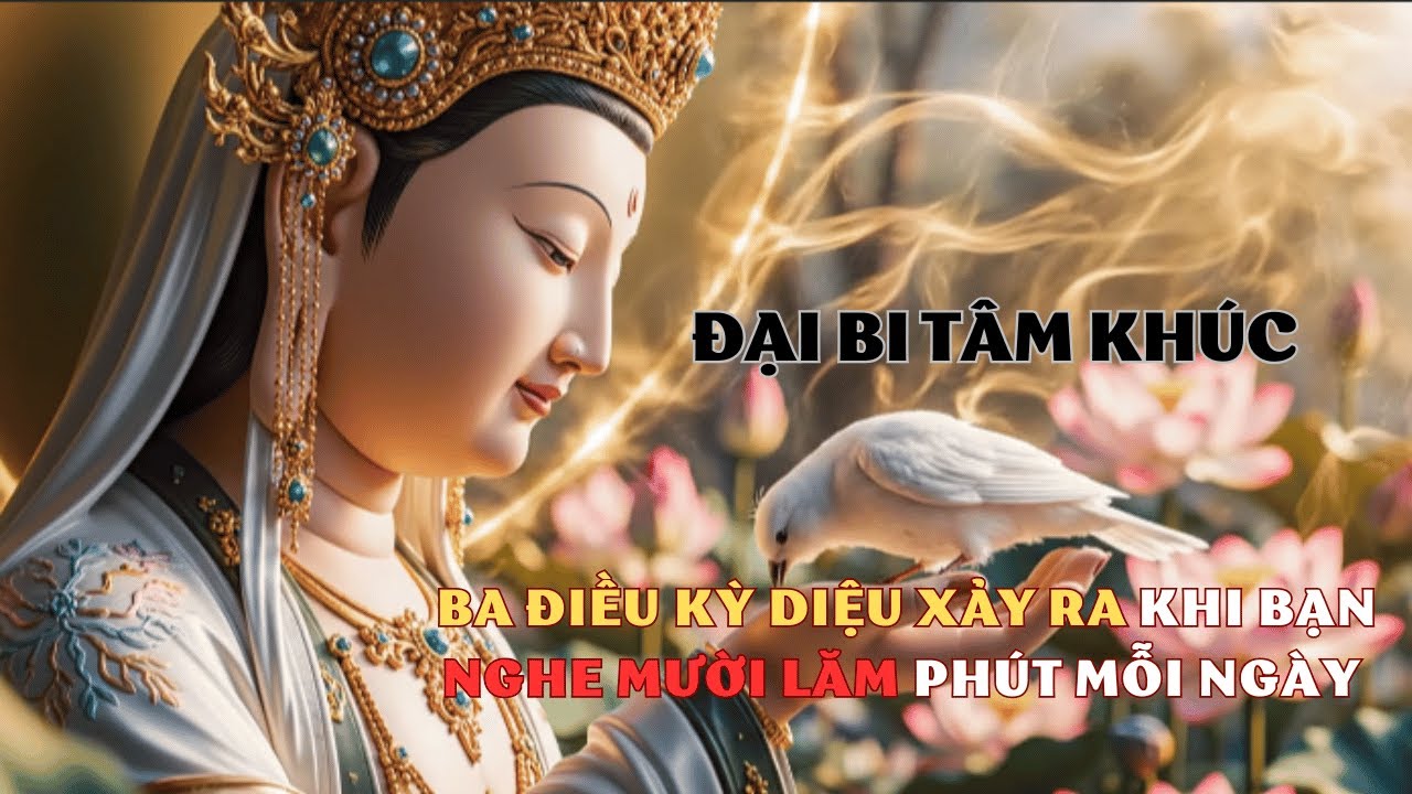 Nghe 15 Phút Đại Bi Tâm Khúc: Trút Bỏ Mọi Áp Lực Cơm Áo Gạo Tiền, Tâm An Vạn Sự Lành
