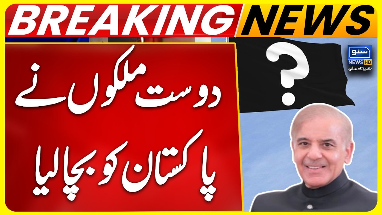 Pak-UAE Financial Update | Debt Repayment Plan Finalized | 2 Countries Step In to Support Pakistan