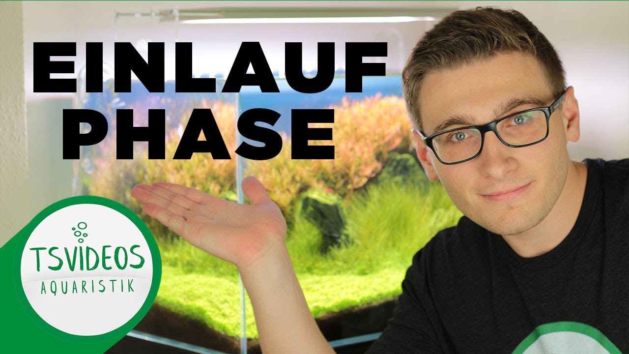 Was ist die Einlaufphase? Einlaufphase verk&uuml;rzen?
