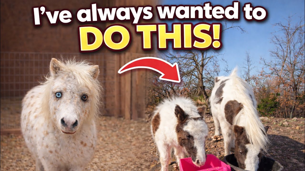 Для всех нас это было впервые!