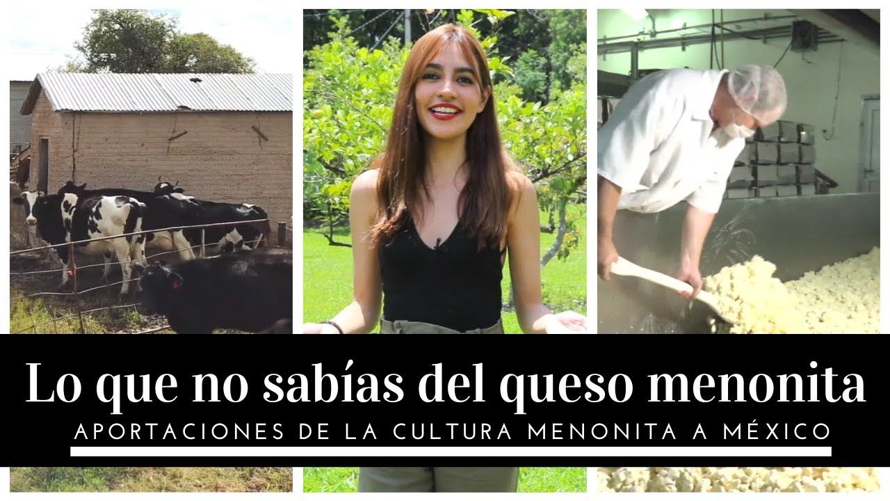 QUESO MENONITA ✅ DESCUBRE COMO SE HACE