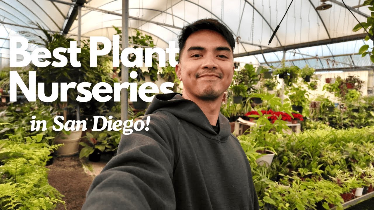 San Diego Plant Nursery Tour – My Top Picks!