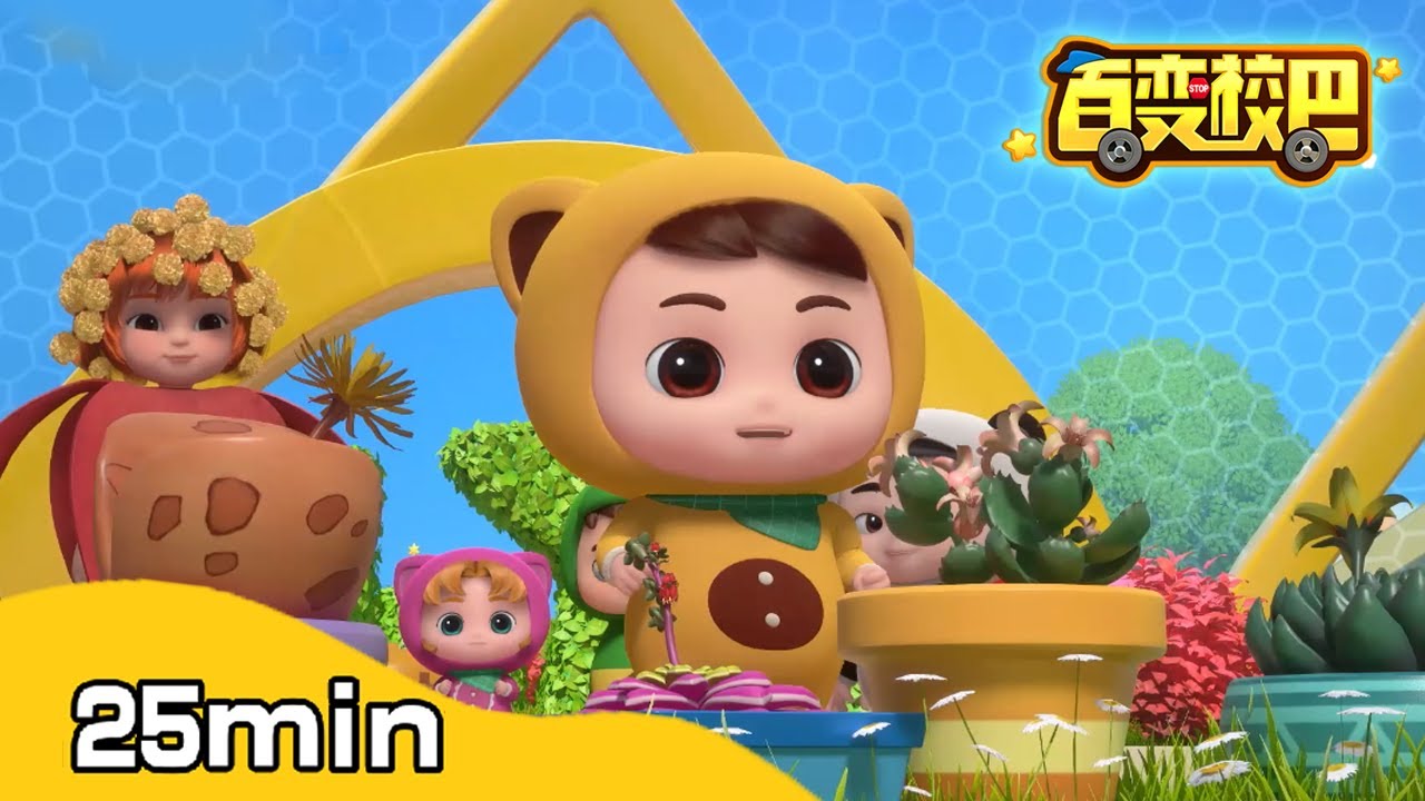【25分钟合辑】百变校巴丨第八季 | 03米粒老师带着大家来到多肉植物园，进行游学活动，大家可开心了呢