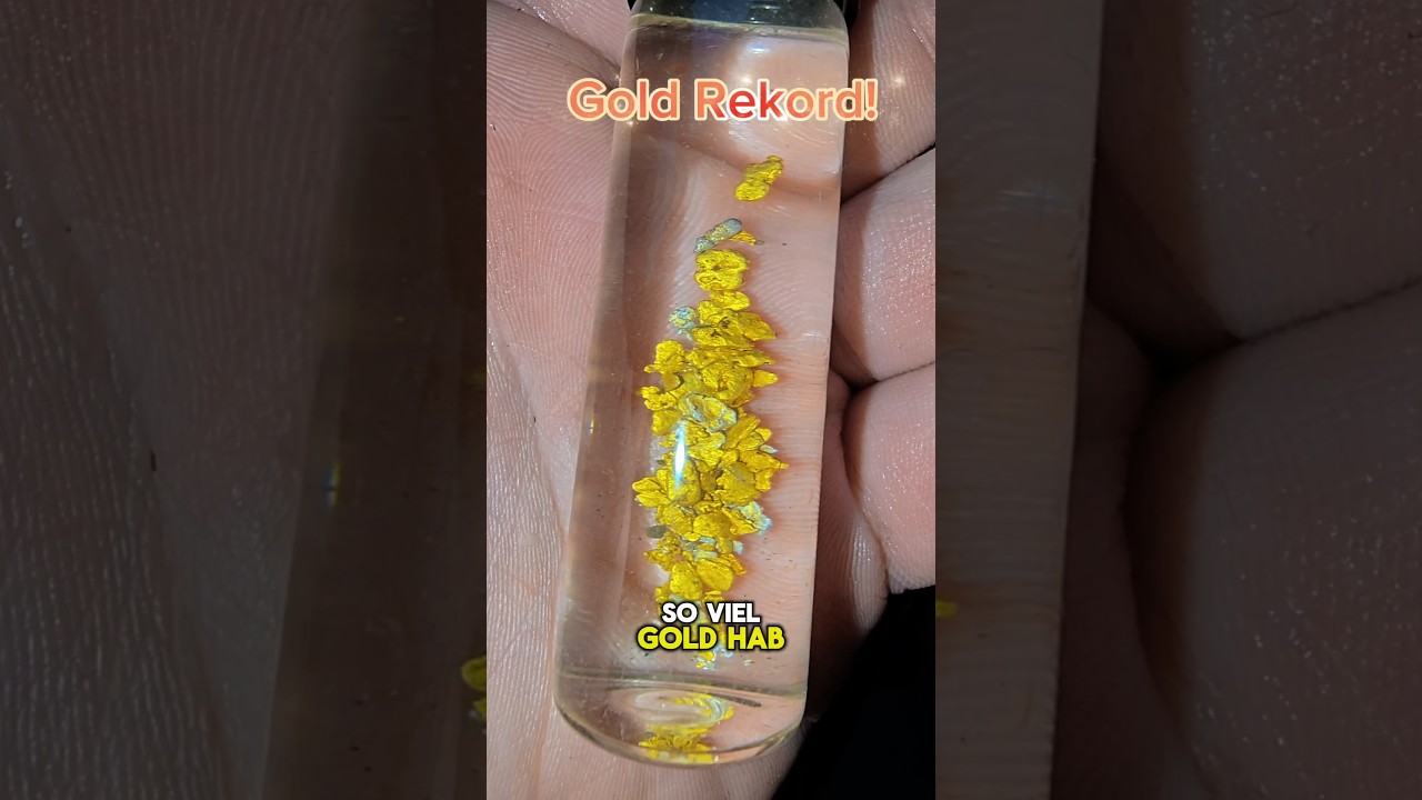 Gold Rekord, M&uuml;nzen und Quecksilber! Unglaubliches Ergebniss! 💪🏻😁 #goldwaschen #outdoor #golddoktor