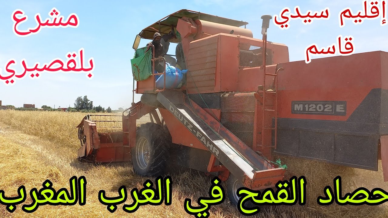 موسم حصاد القمح في المغرب خيرات مجودة الله يبارك 🇲🇦🇲🇦🇲🇦🇲🇦☀️☀️👍2024/05/22