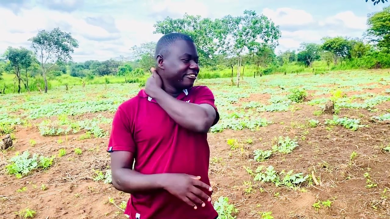 Tips how to grow watermelon in northern Uganda with teacher @CharlesLayoo  ￼