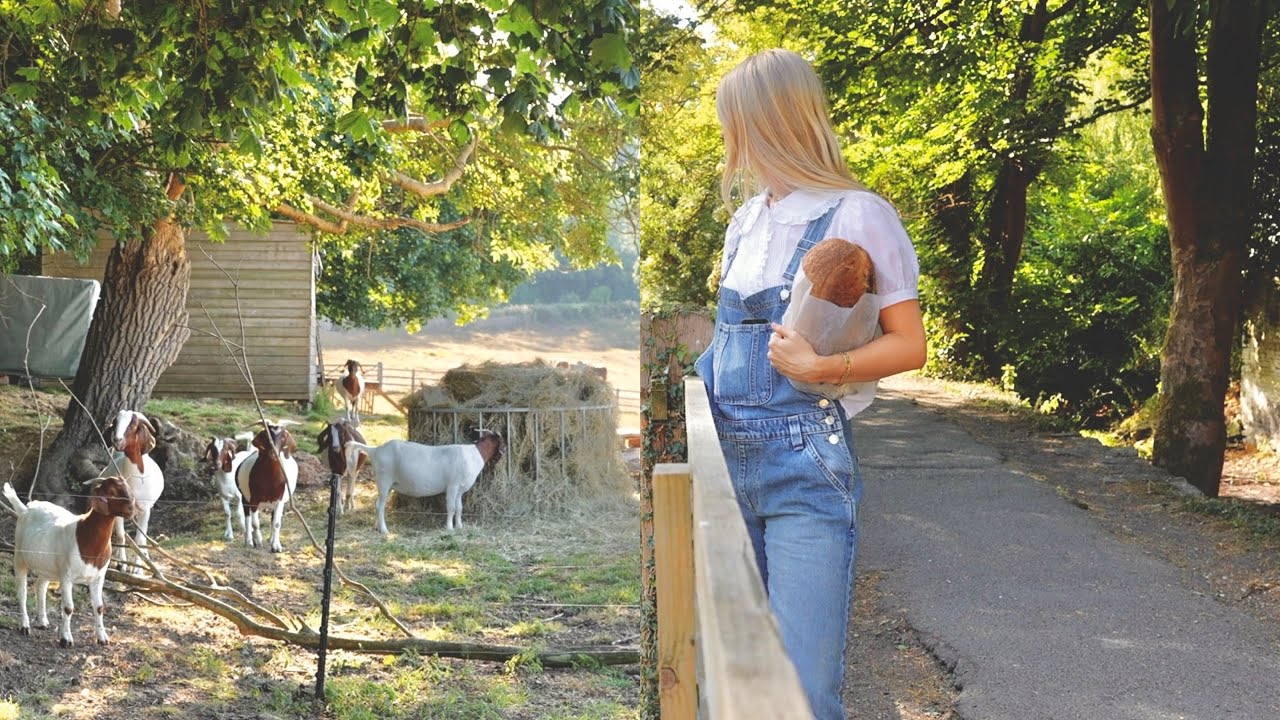 my morning routine in the english countryside