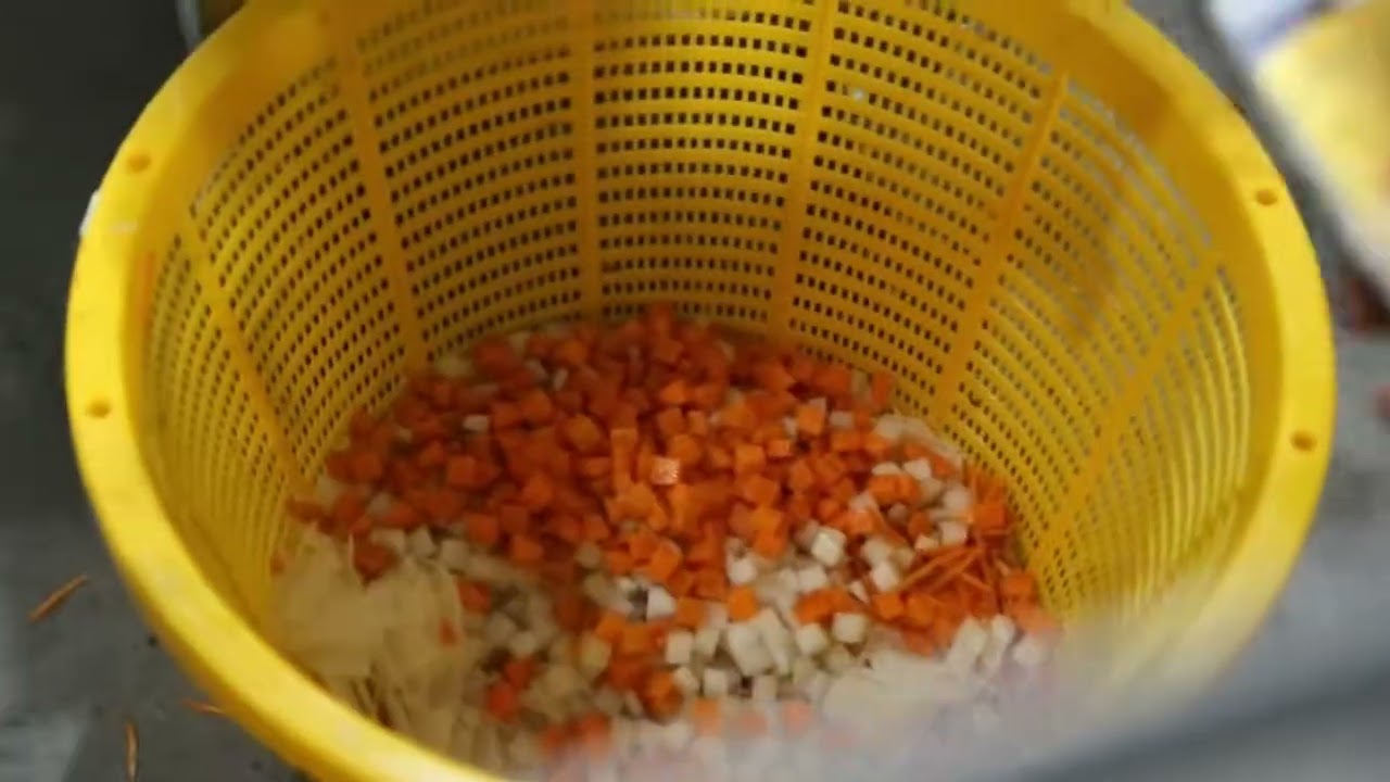 Multifunctional vegetable cutting machine