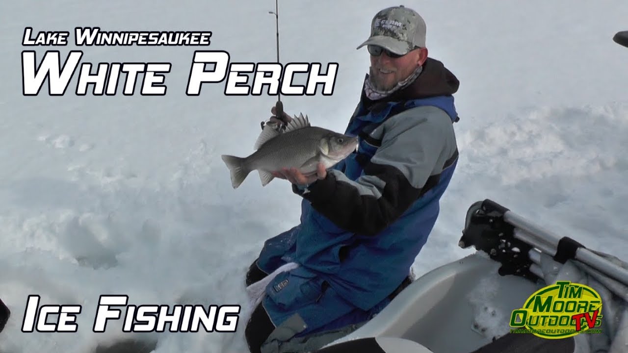 Lake Winnipesaukee White Perch Ice Fishing