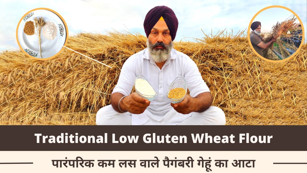 Traditional Low Gluten Wheat Flour ( Atta )