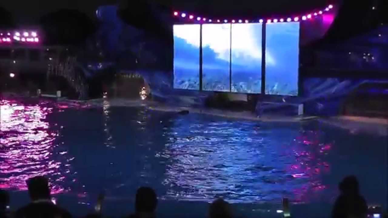 One Ocean - SeaWorld San Diego - HD