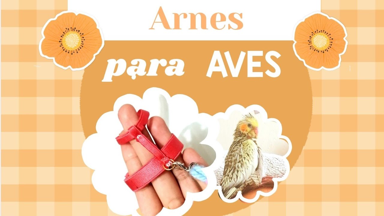 ❤️ ARNÉS para cualquier tipo de ave  (Ninfa, agaporni, periquito australiano, etc) FÁCIL DE HACER ❤️
