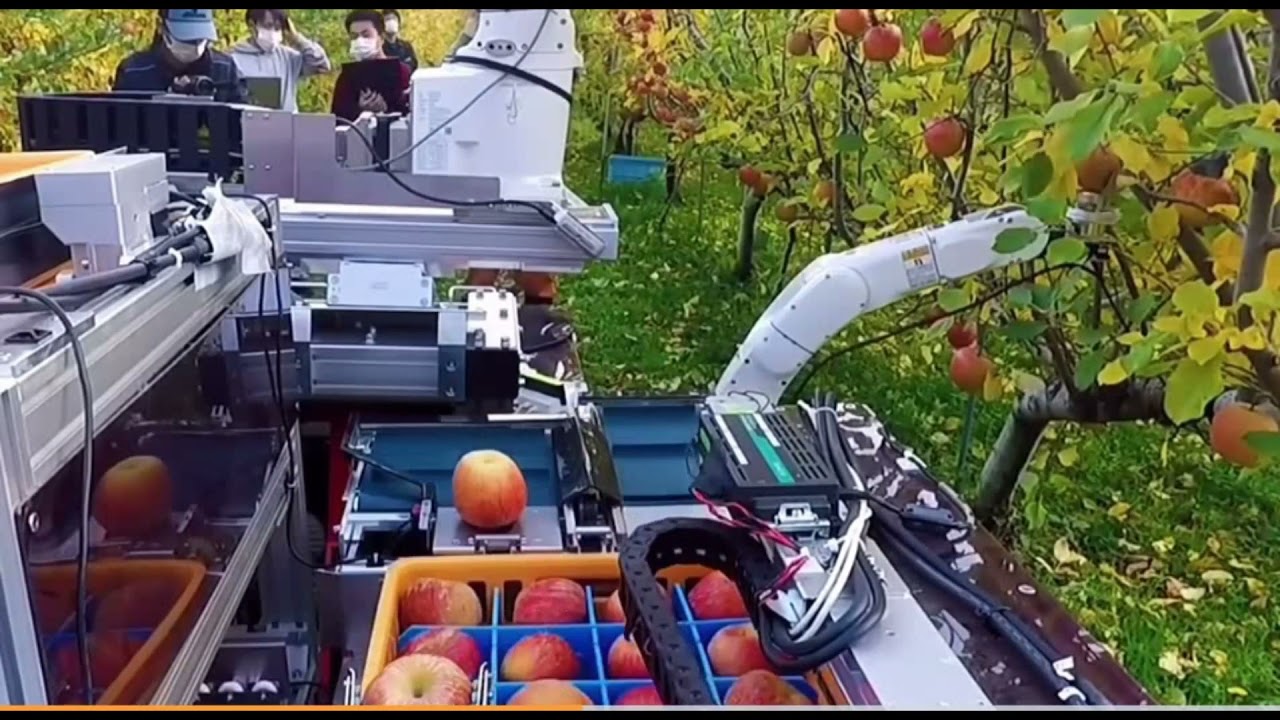 Apple picker robot