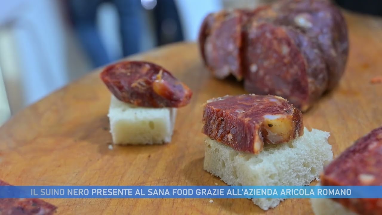 IL SUINO NERO PRESENTE AL SANA FOOD GRAZIA ALLA DITTA ROMANO