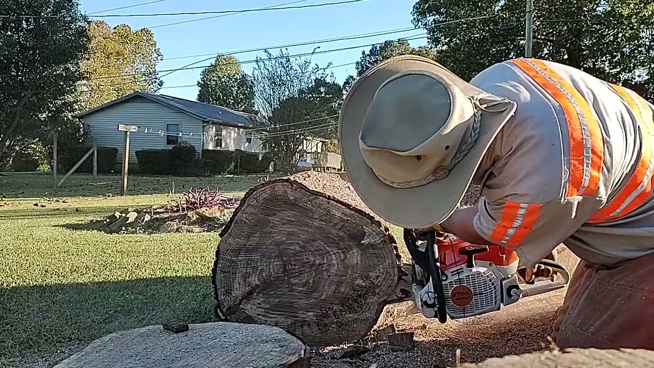 Stihl MS 462