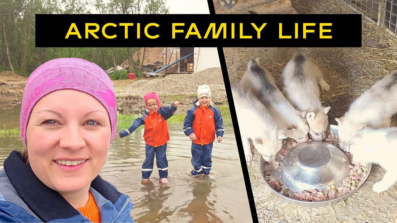Rainy Days, Puppy Chaos and Life at Our Arctic Home