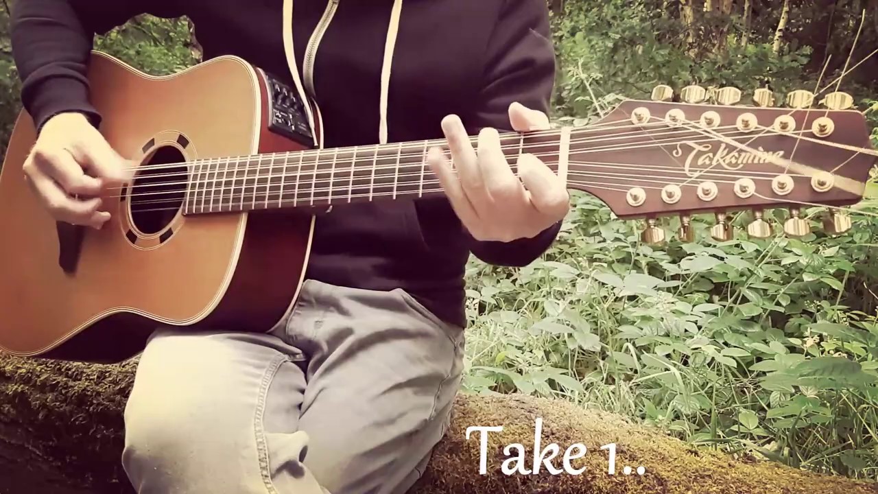 12 String Guitar in Open D Tuning