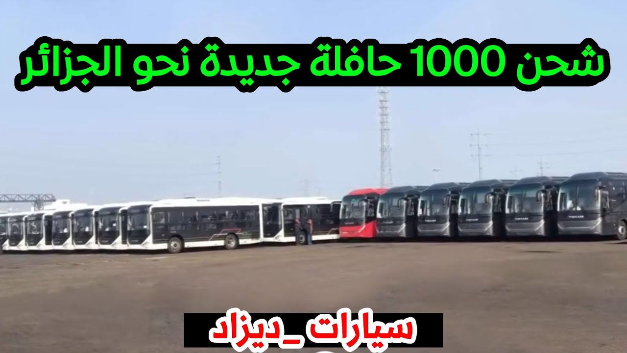 تيرصام تتحرك: أسطول جديد من 1000 حافلة يدخل الخدمة قريبًا