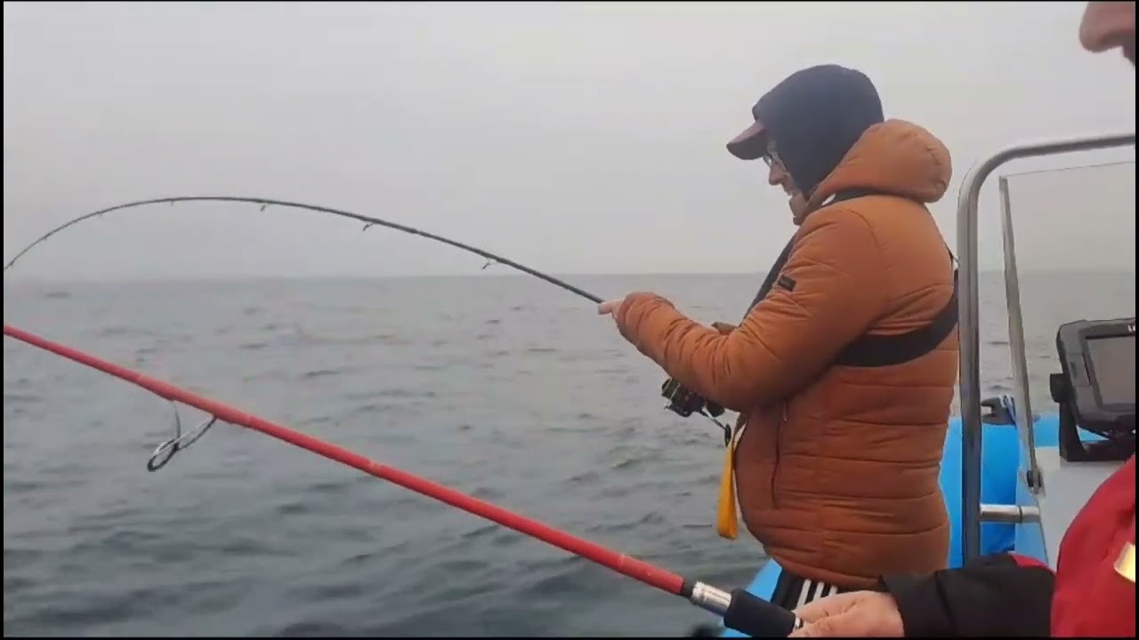 Pêche en Bretagne: Pagres, Saint-Pierres, Grondins...