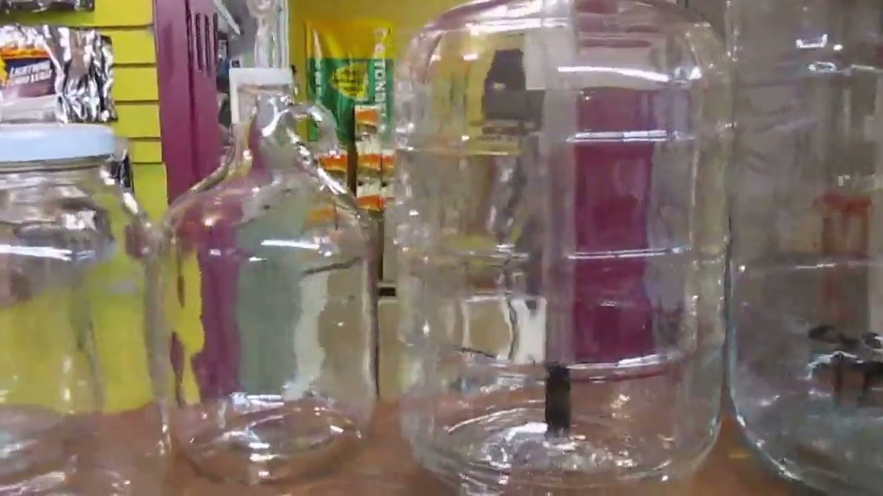 Glass Carboys - Comparing the which one is best for you