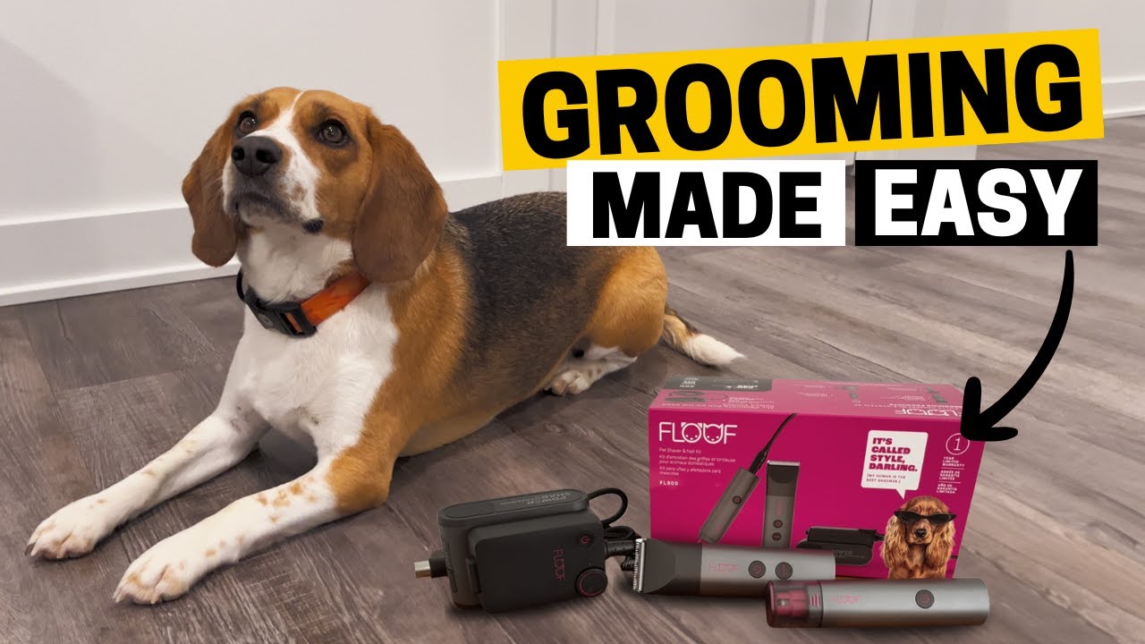 Grooming Made Easy | The FLOOF Professional Dog Grooming Kit Review